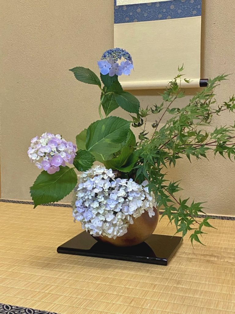モデルハウス「京四季-けしき-」内覧予約