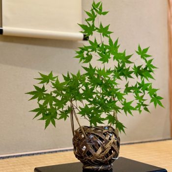 モデルハウス「京四季-けしき-」内覧予約