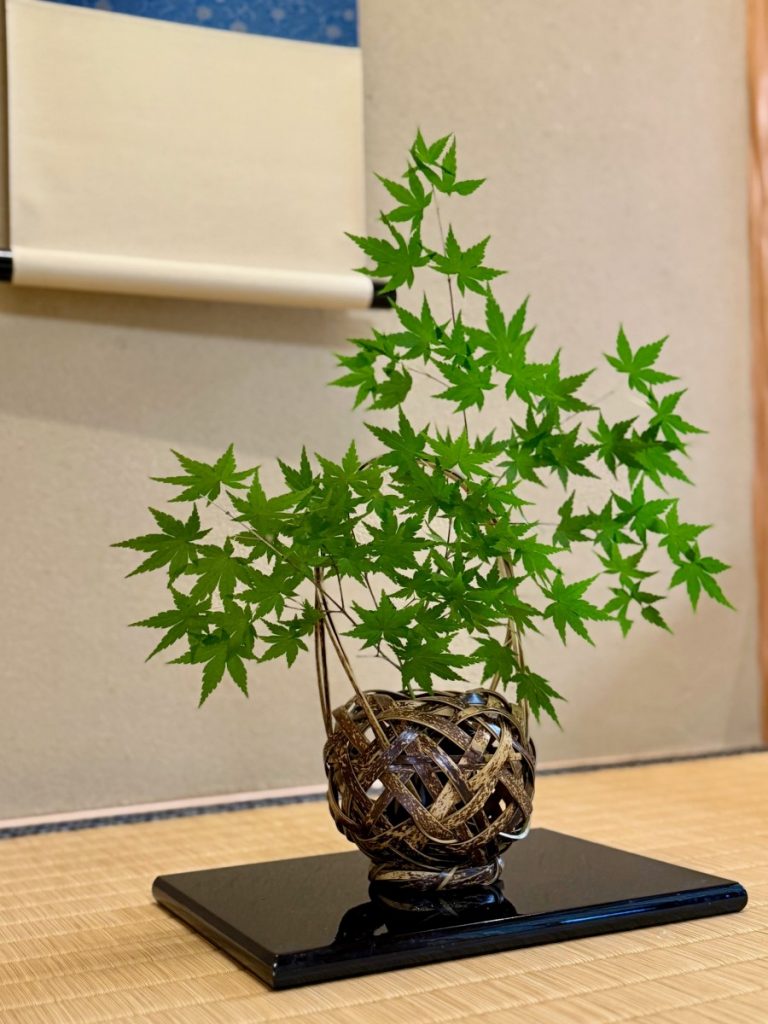 モデルハウス「京四季-けしき-」内覧予約