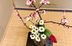 桃の節句